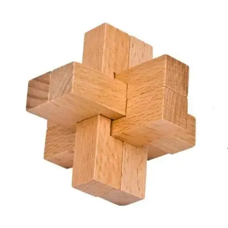 Classic Wooden Puzzle Mind Brain Teasers Interlocking Puzzles Game