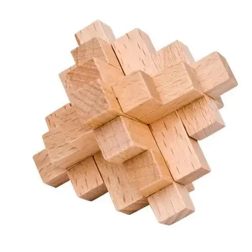 Classic Wooden Puzzle Mind Brain Teasers Interlocking Puzzles Game