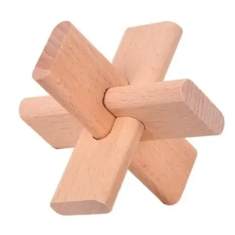 Classic Wooden Puzzle Mind Brain Teasers Interlocking Puzzles Game