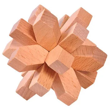 Classic Wooden Puzzle Mind Brain Teasers Interlocking Puzzles Game