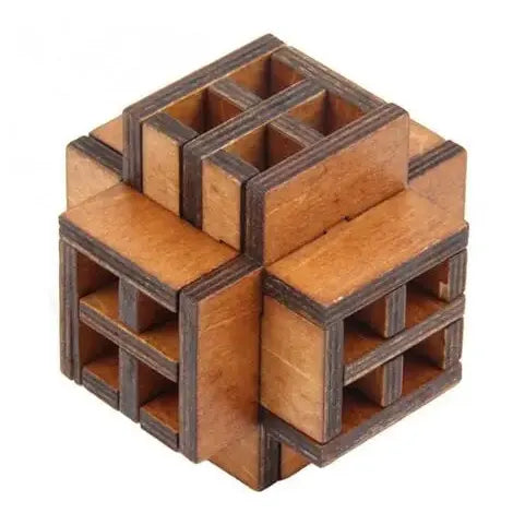 Classic Wooden Puzzle Mind Brain Teasers Interlocking Puzzles Game