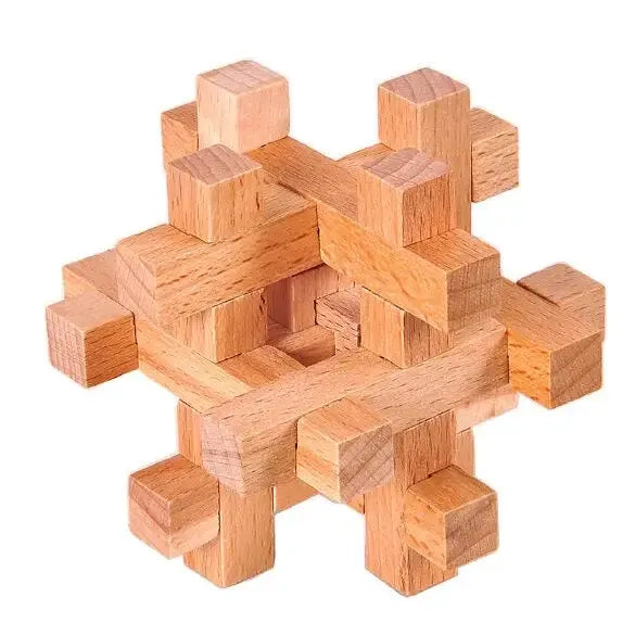 Classic Wooden Puzzle Mind Brain Teasers Interlocking Puzzles Game