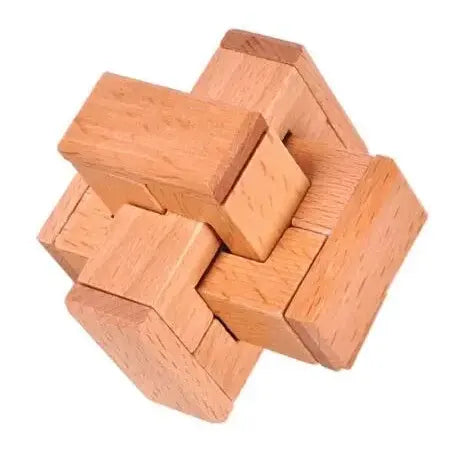 Classic Wooden Puzzle Mind Brain Teasers Interlocking Puzzles Game