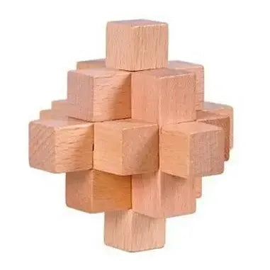 Classic Wooden Puzzle Mind Brain Teasers Interlocking Puzzles Game