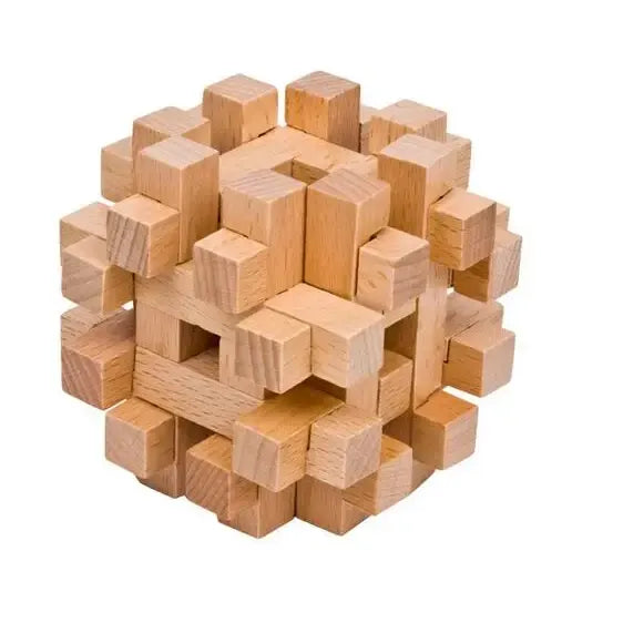 Classic Wooden Puzzle Mind Brain Teasers Interlocking Puzzles Game