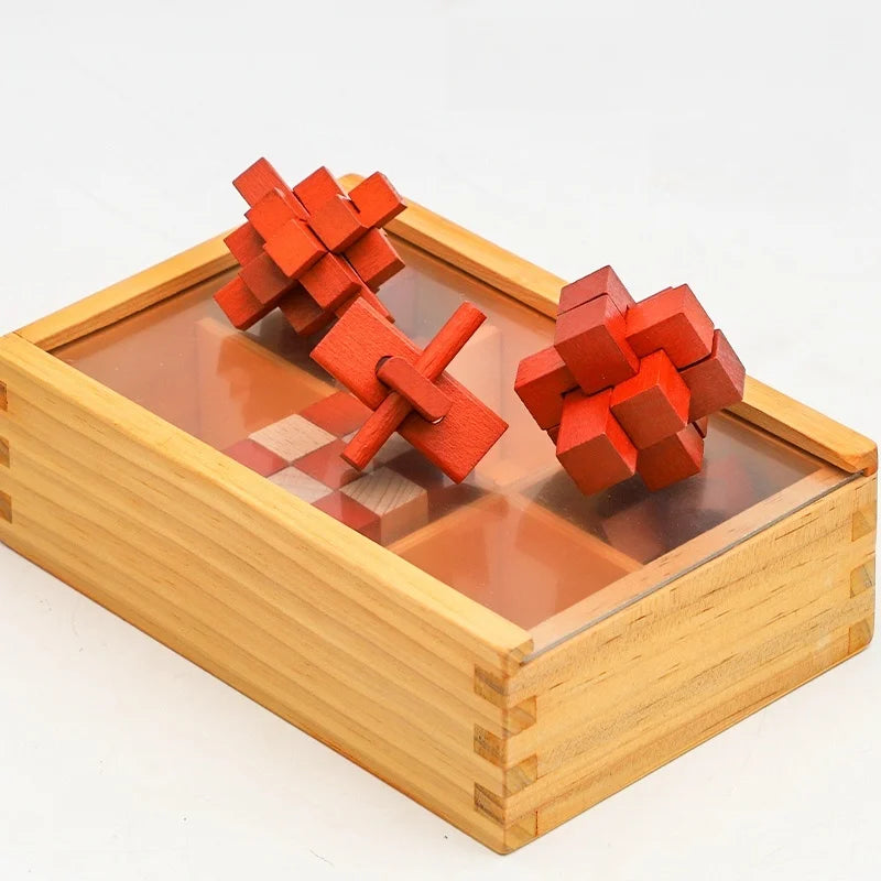 Wooden set of IQ  Brain Teaser 3D Puzzles Game for Focus & Calm
