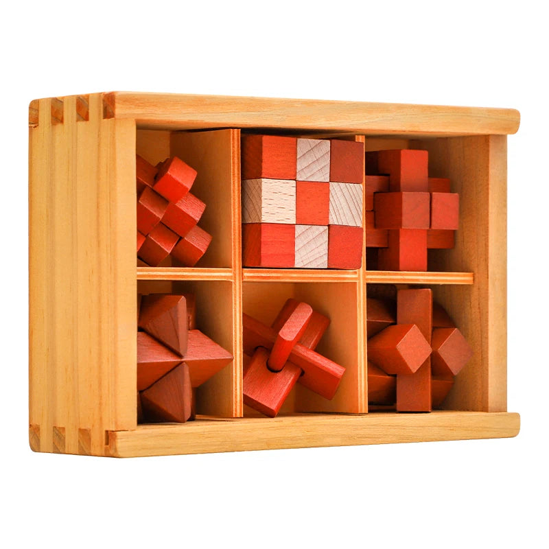 Wooden set of IQ  Brain Teaser 3D Puzzles Game for Focus & Calm